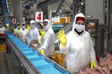 factory saff